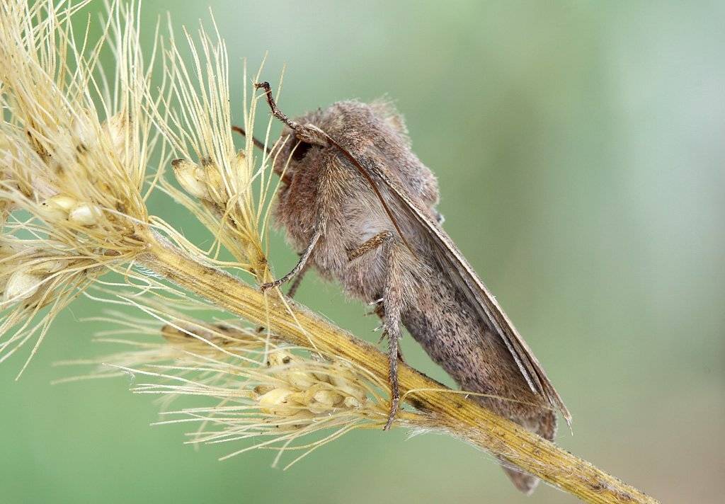 , Сергей Таланов