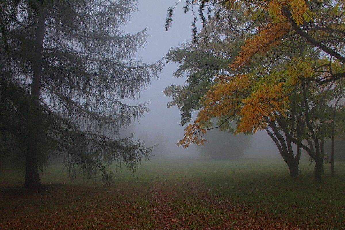 , Михаил  Пилипенко