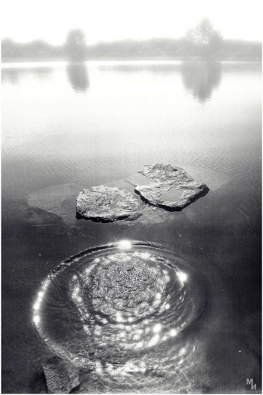 ч/б, негатив, 6х6 Всплеск фото превью