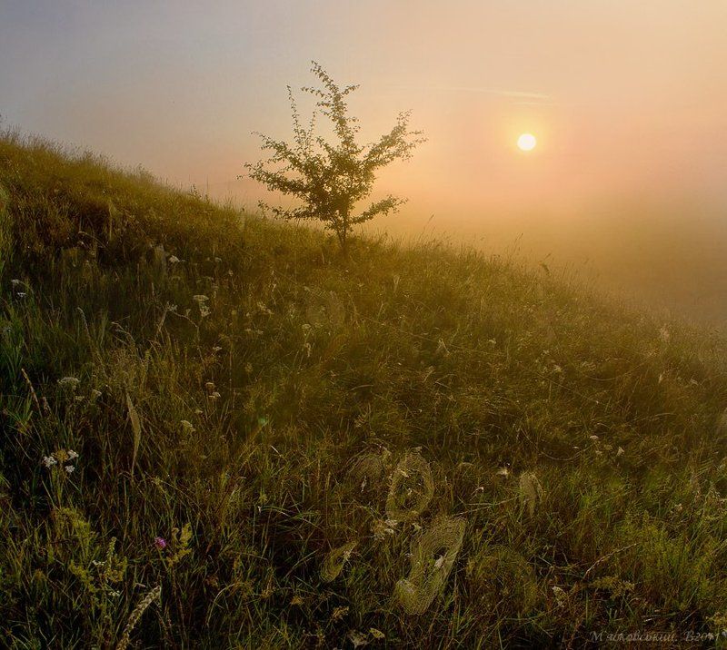 **** фото превью