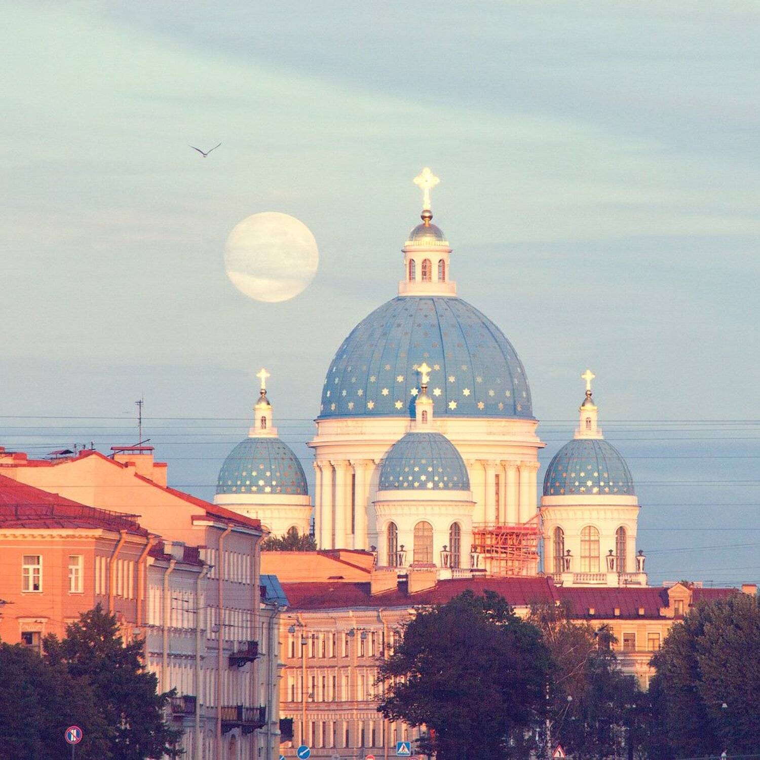 , Евгений Кондрашков