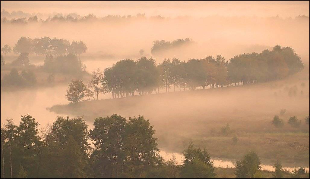 , Андрей Корочкин