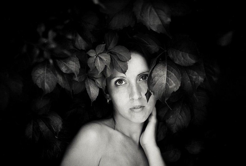 *** фото превью