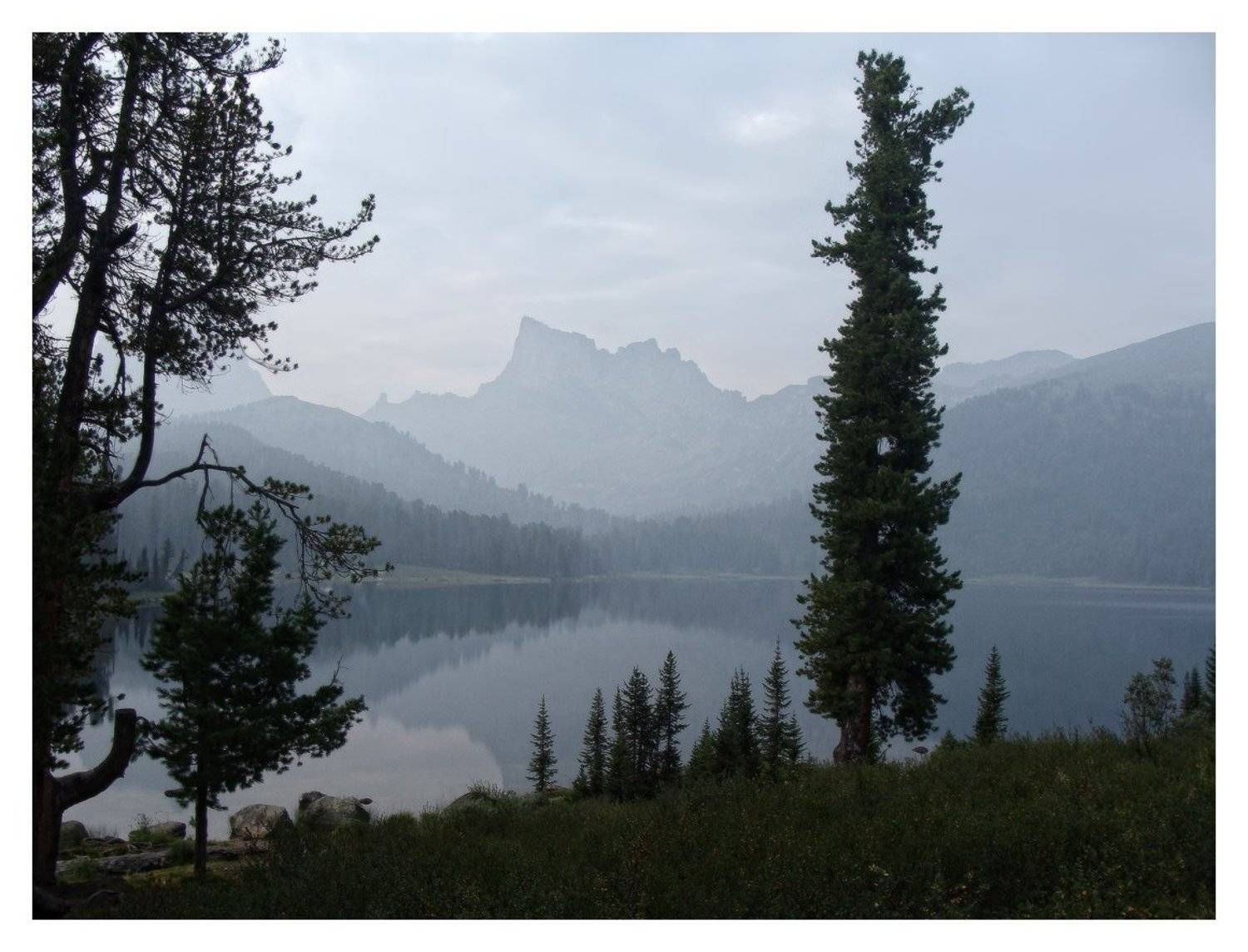 , Галина Хвостенко