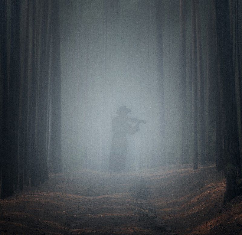 Spirit of the forest фото превью