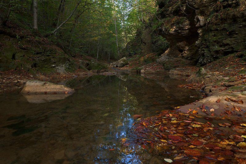 Осенняя тоска фото превью