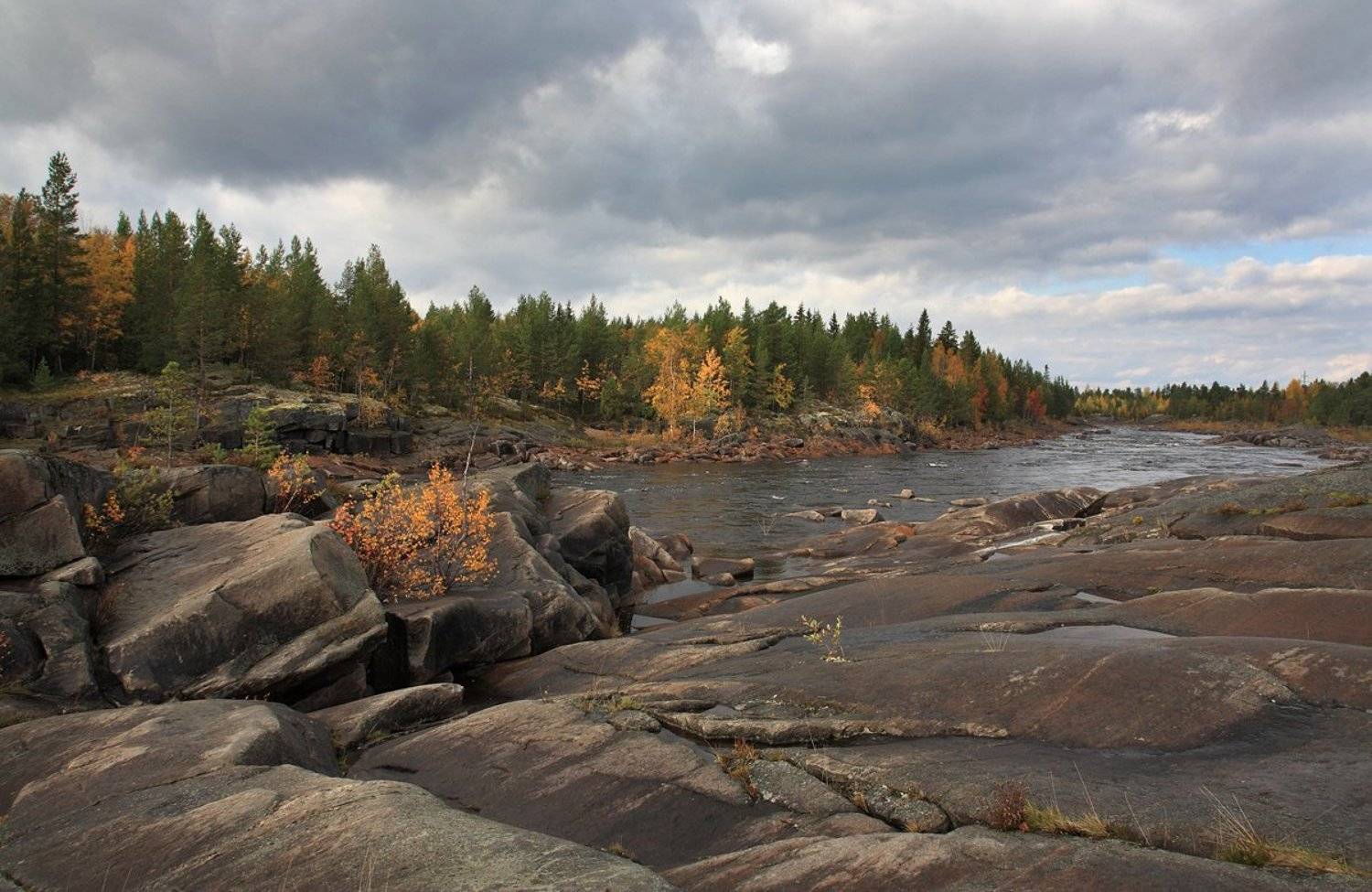 , Андрей Котов
