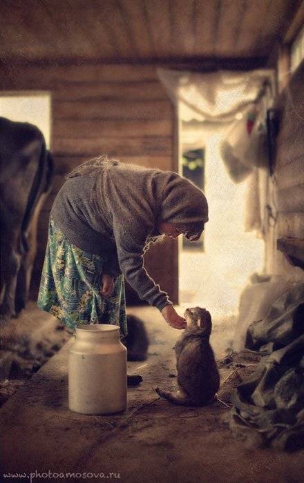 Девочка, Деревня, Дети, Детский портрет, Жанровый портрет, Коровник, Молоко, Русская деревня, Ирина Амосова