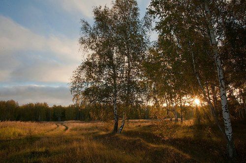 Утро в осеннем лесу