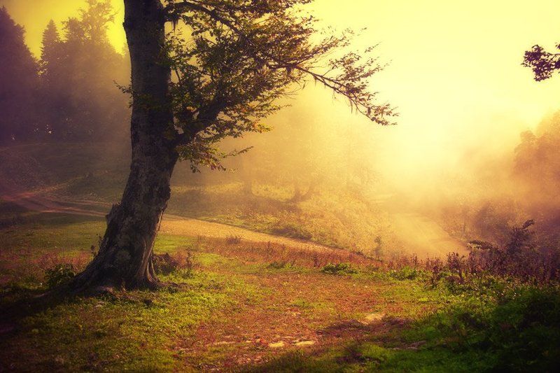 Две c половиной тысячи  метров над морем фото превью