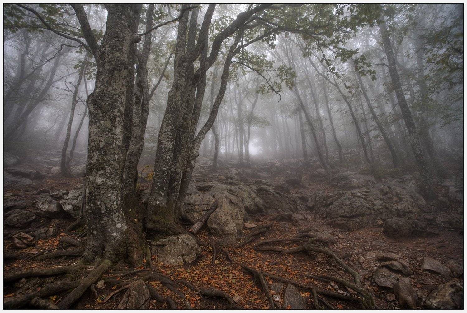 , Олег Дунаев