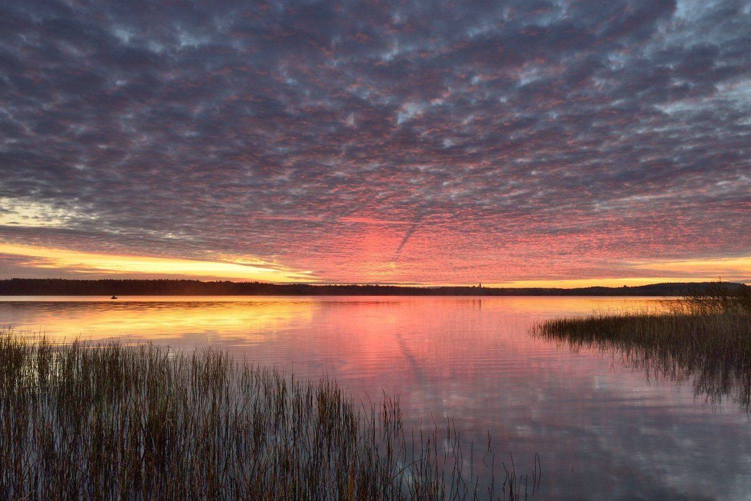 , Максим Евдокимов