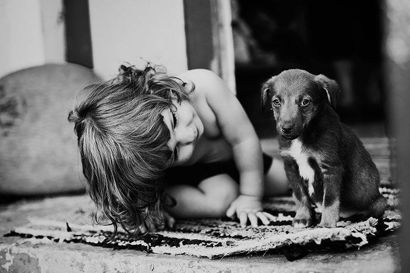 , Елена Галицкая