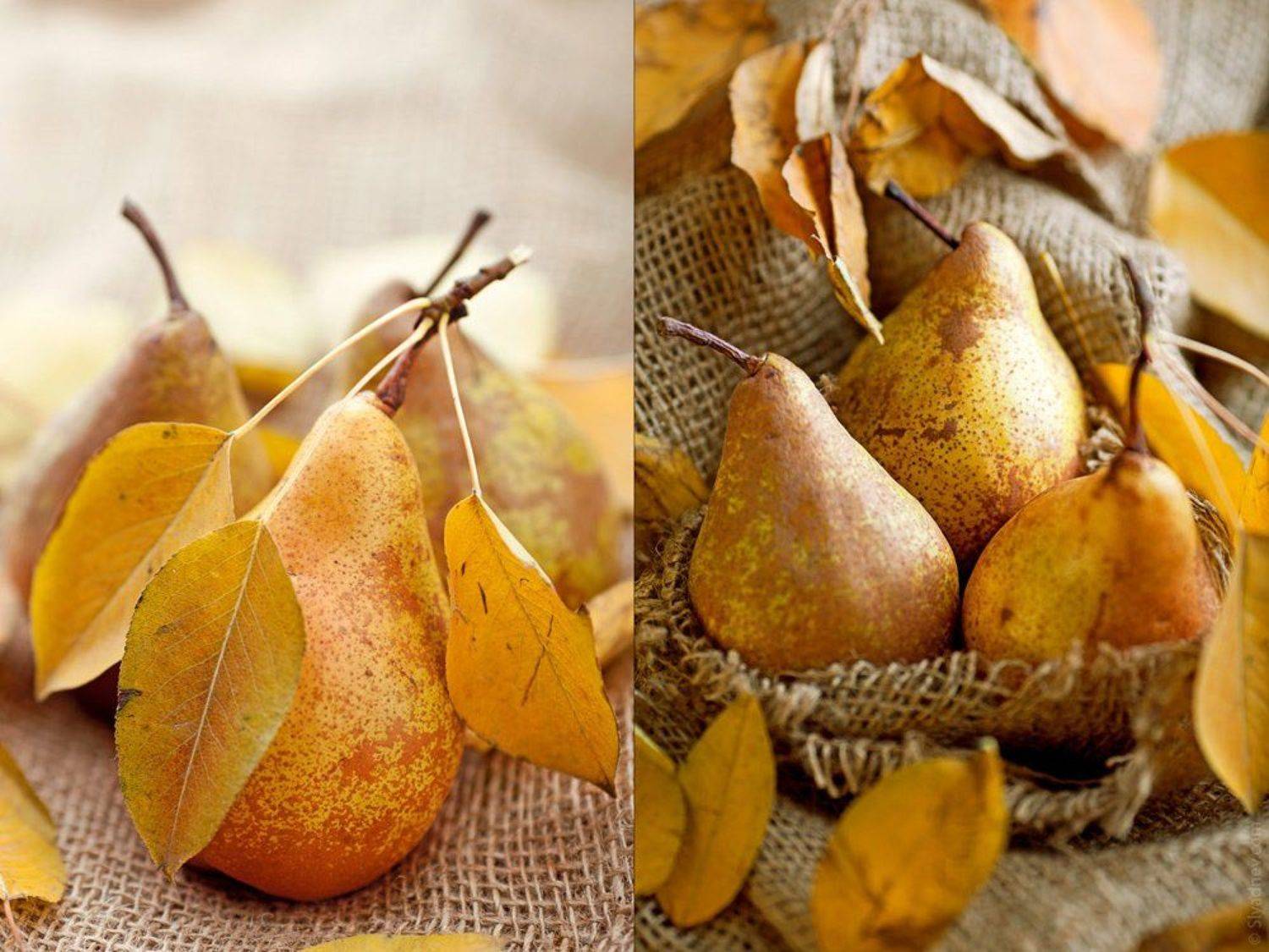 , Александр Сляднев