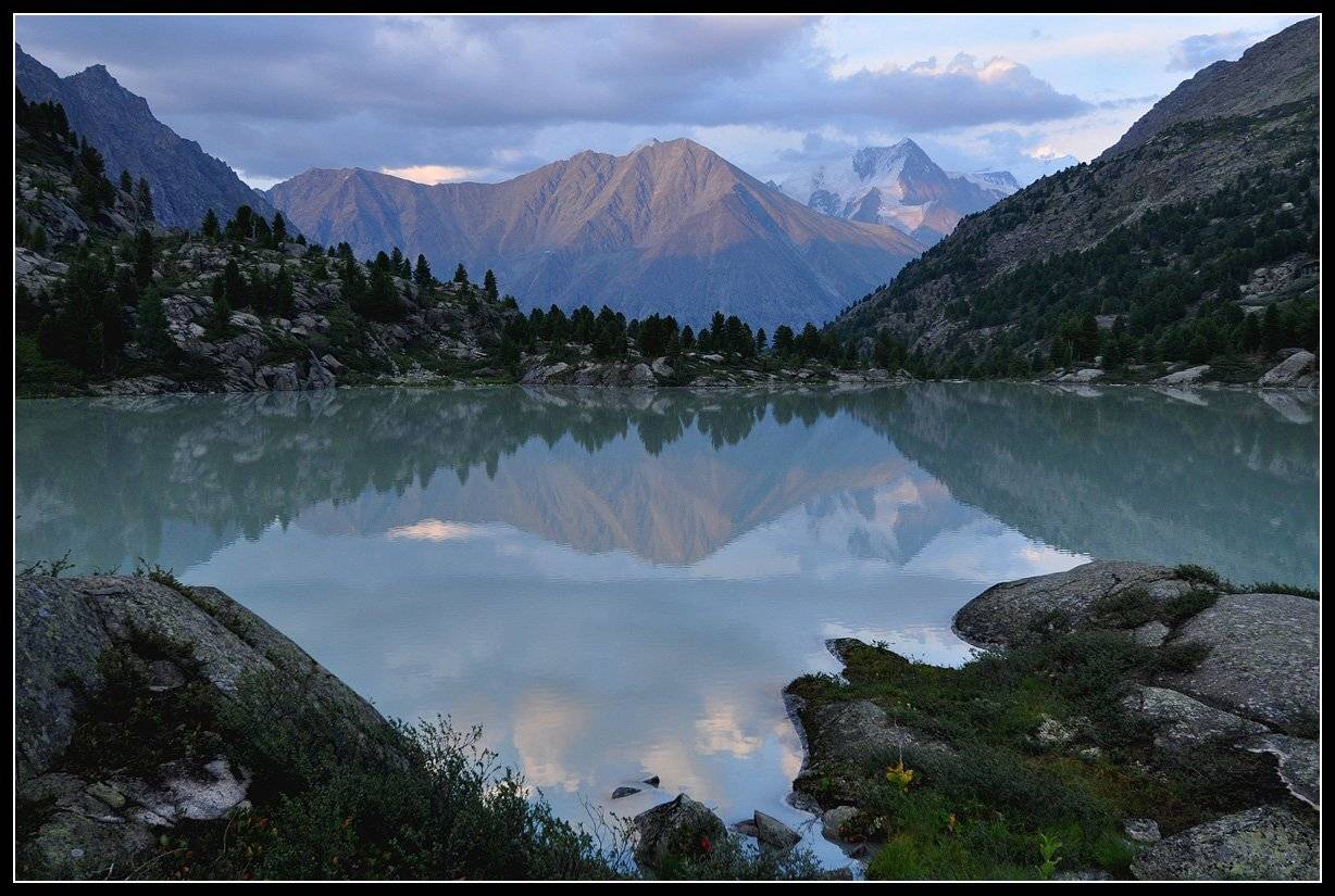 , АНАТОЛИЙ ДОВЫДЕНКО