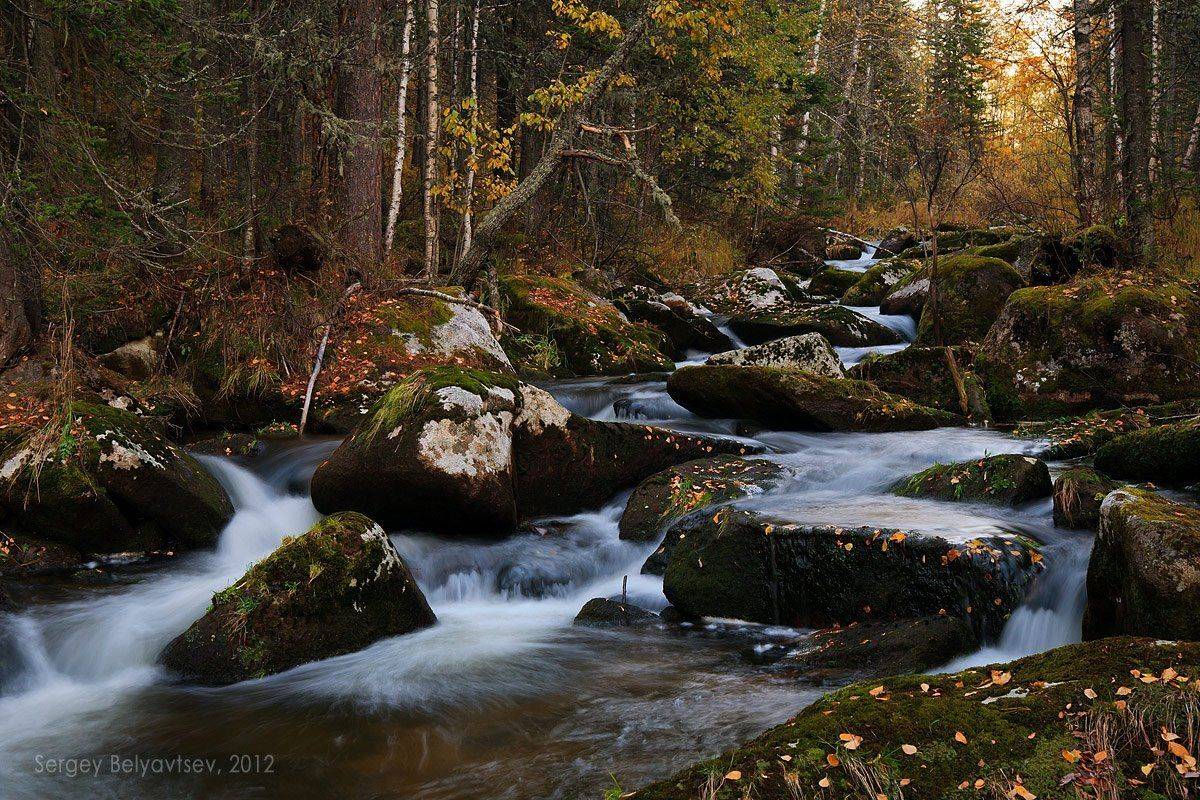 ручей, горная шория, ортон, майзас, кузнецкий алатау, сибирь, Сергей Белявцев