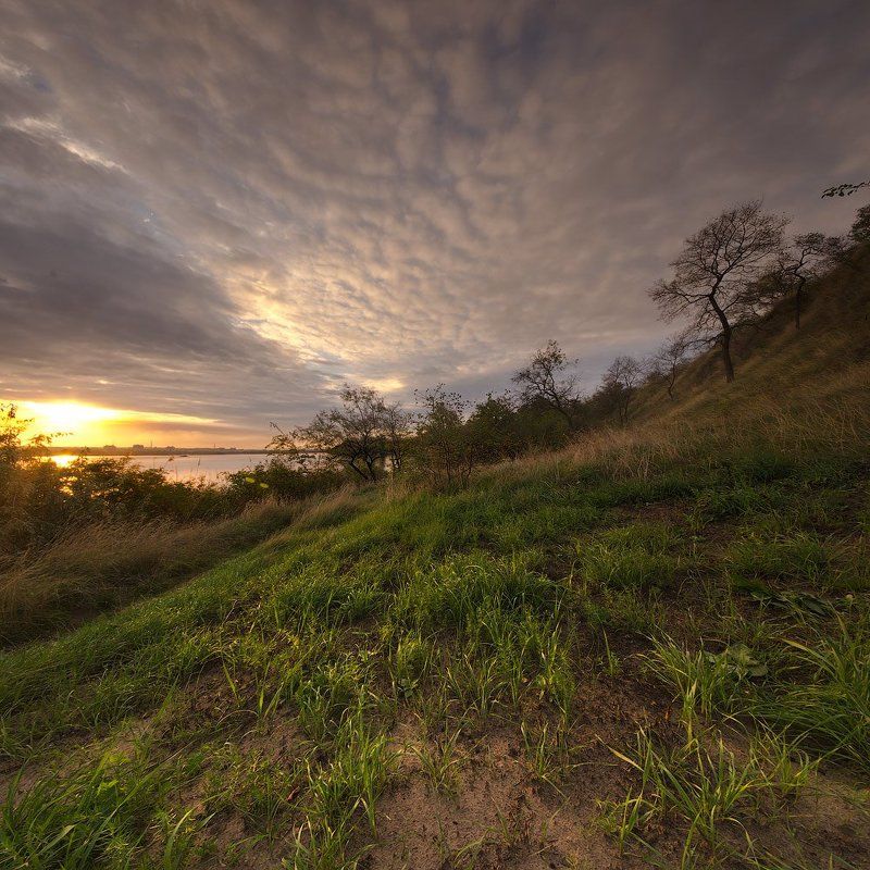 *** фото превью