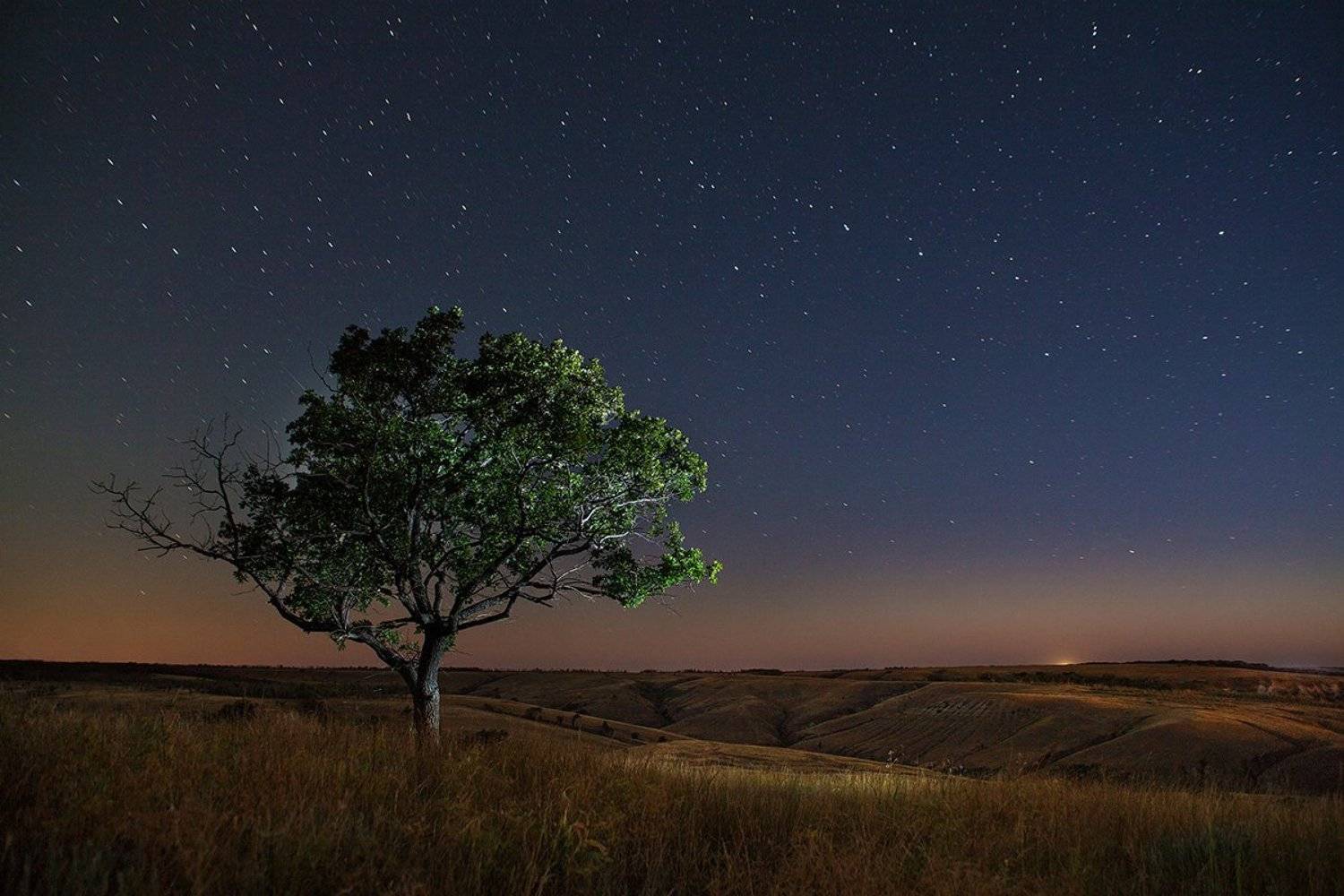 чуыства, отношения, Batoev Anton