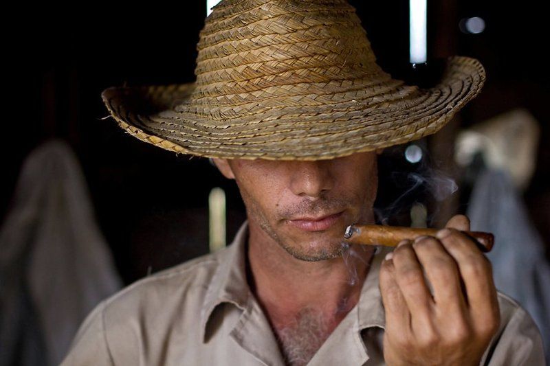 куба, сигары, табак, виньялес гордость Кубы фото превью