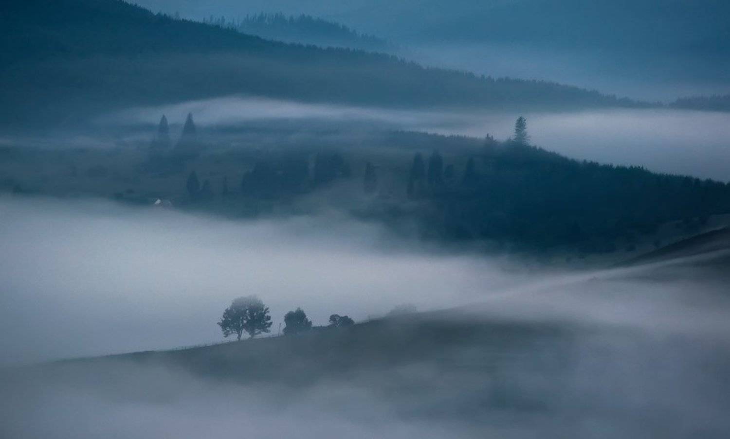 , Денис Кривой