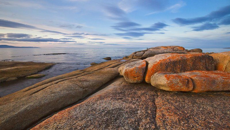 Bicheno фото превью