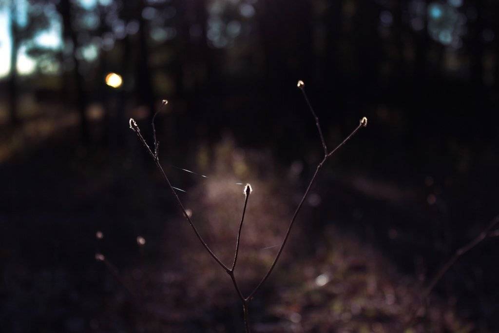 , Максим Филипов