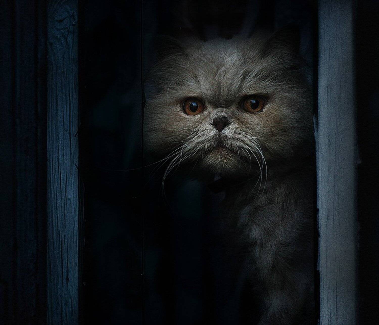 , Наборщиков Иван