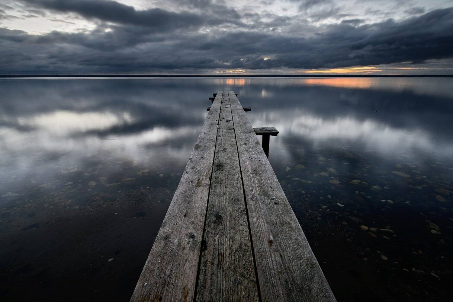 , Максим Евдокимов