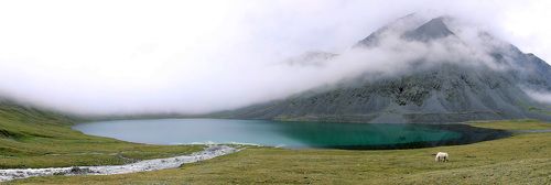Туманное утро