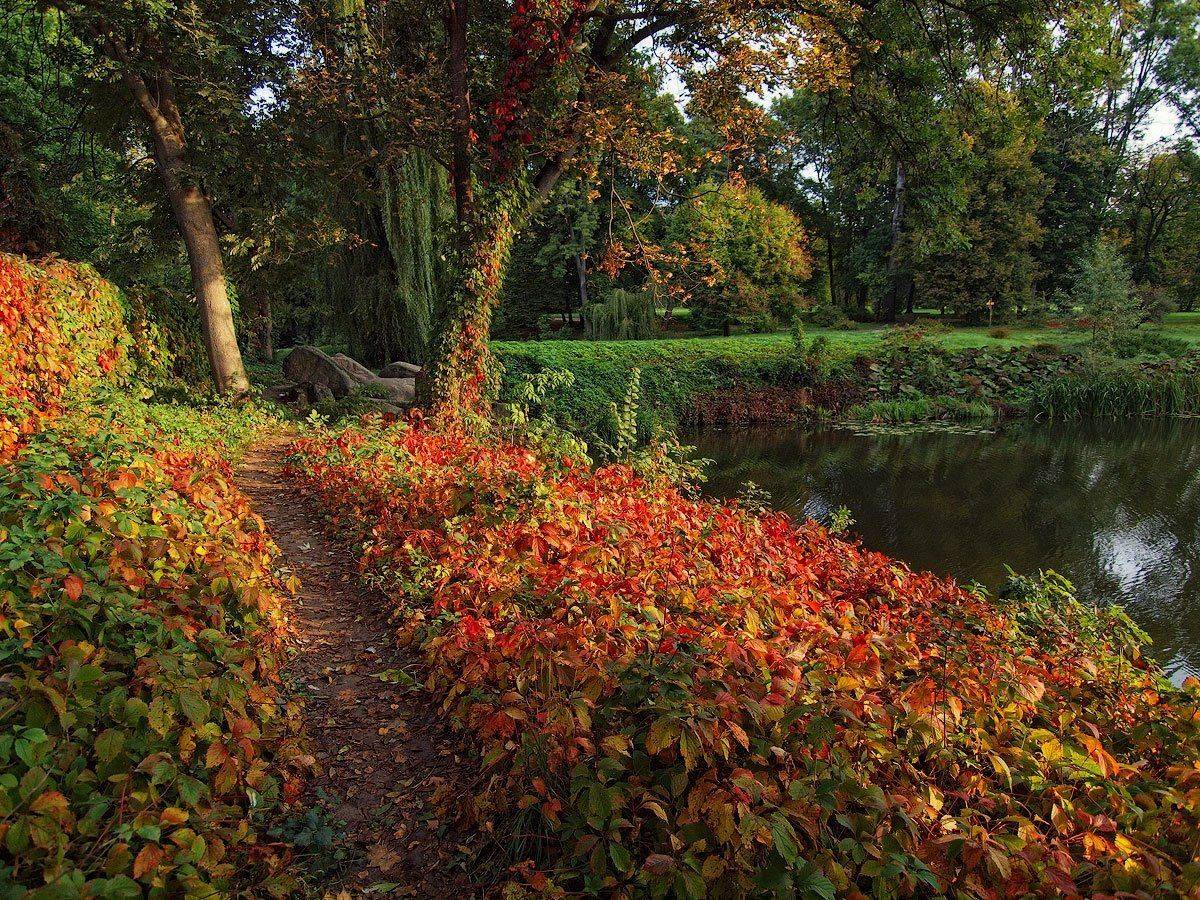 , Владимир Перепечаев