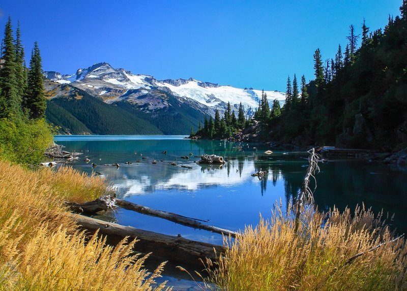 $$$ фото превью