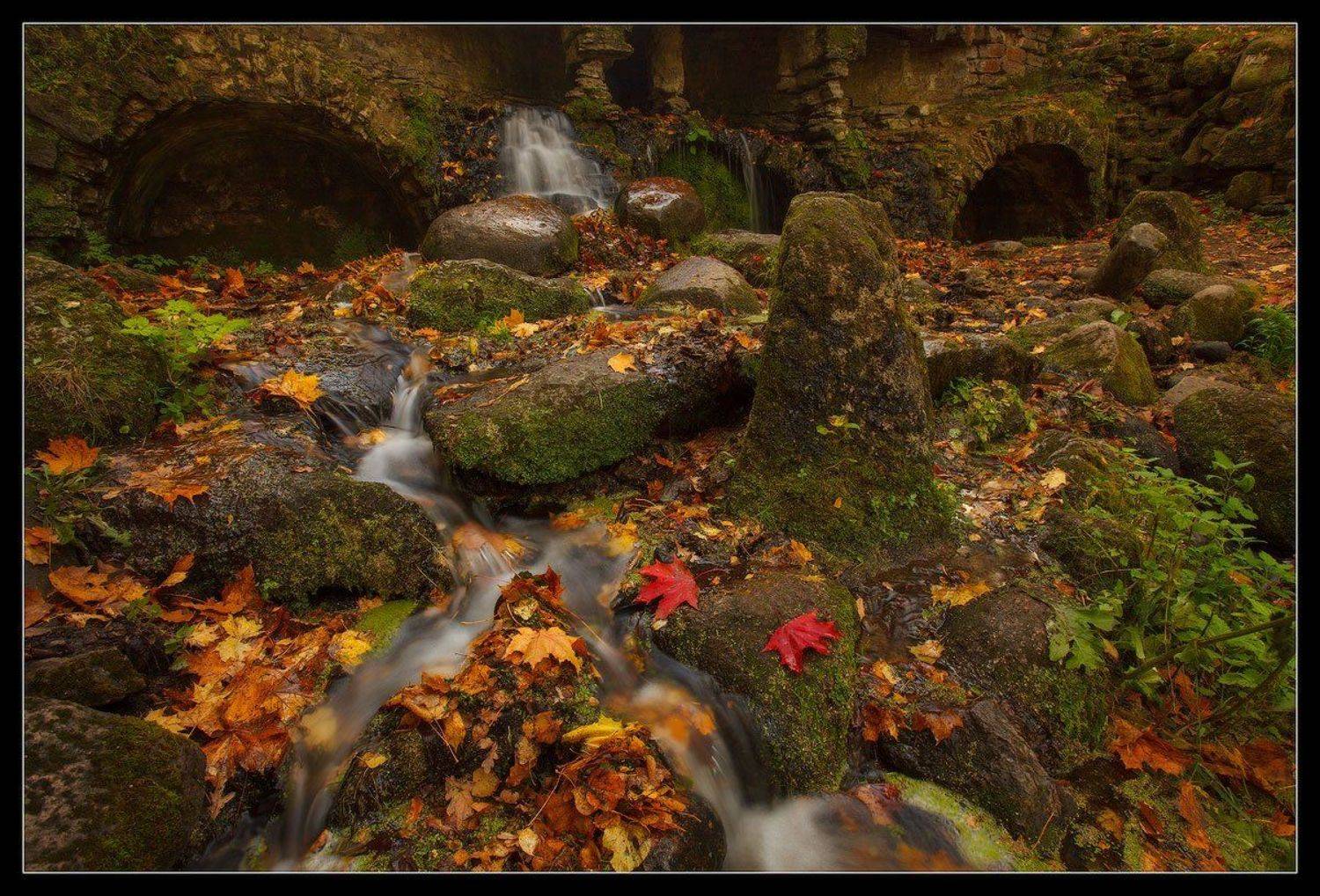 павловск, павловский, парк, Ilya Shtrom