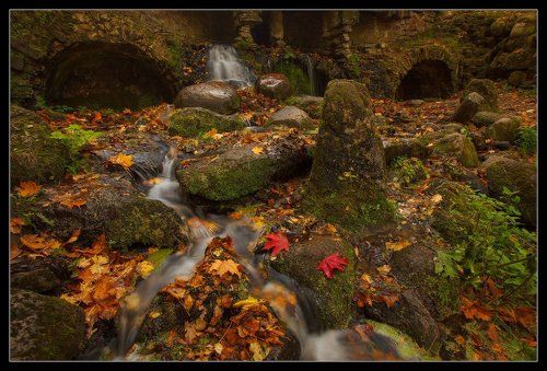 про Осень в Павловском Парке и...