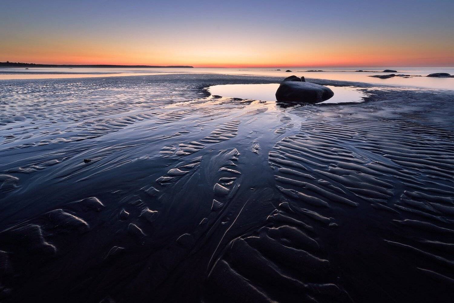 , Максим Евдокимов