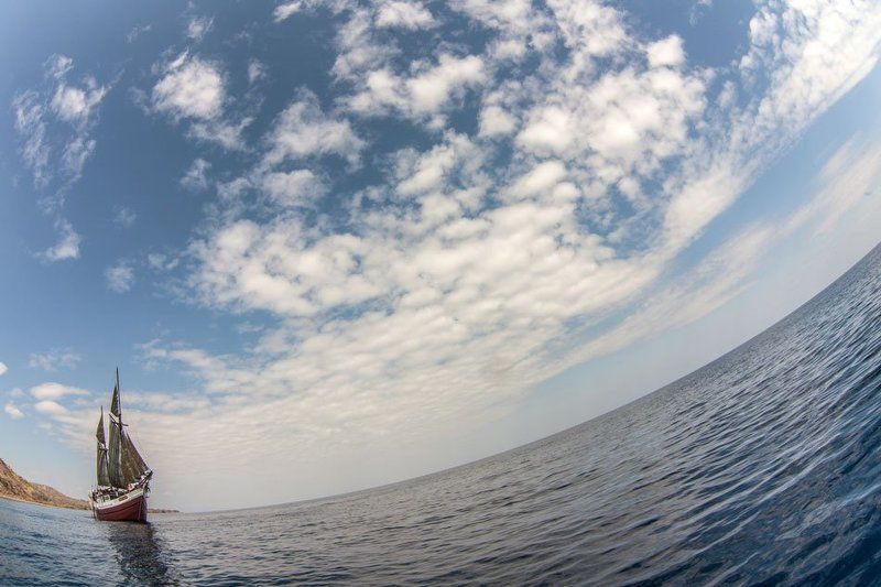 SMY Ondina фото превью