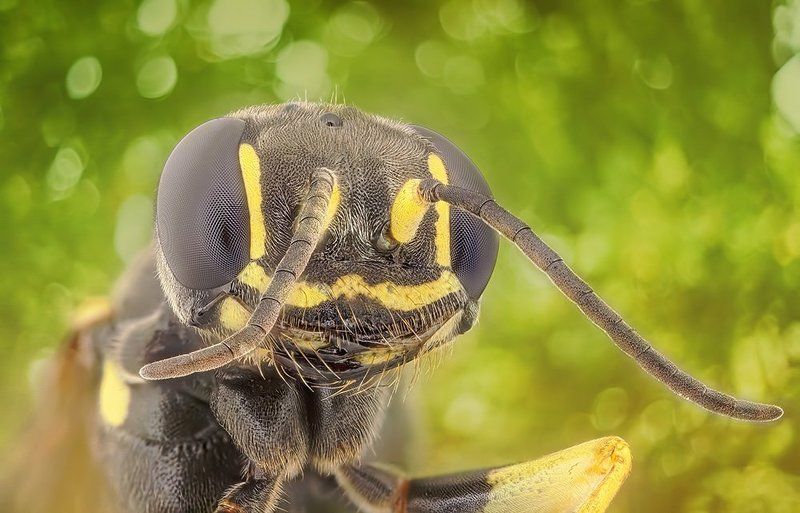 smile ;) фото превью