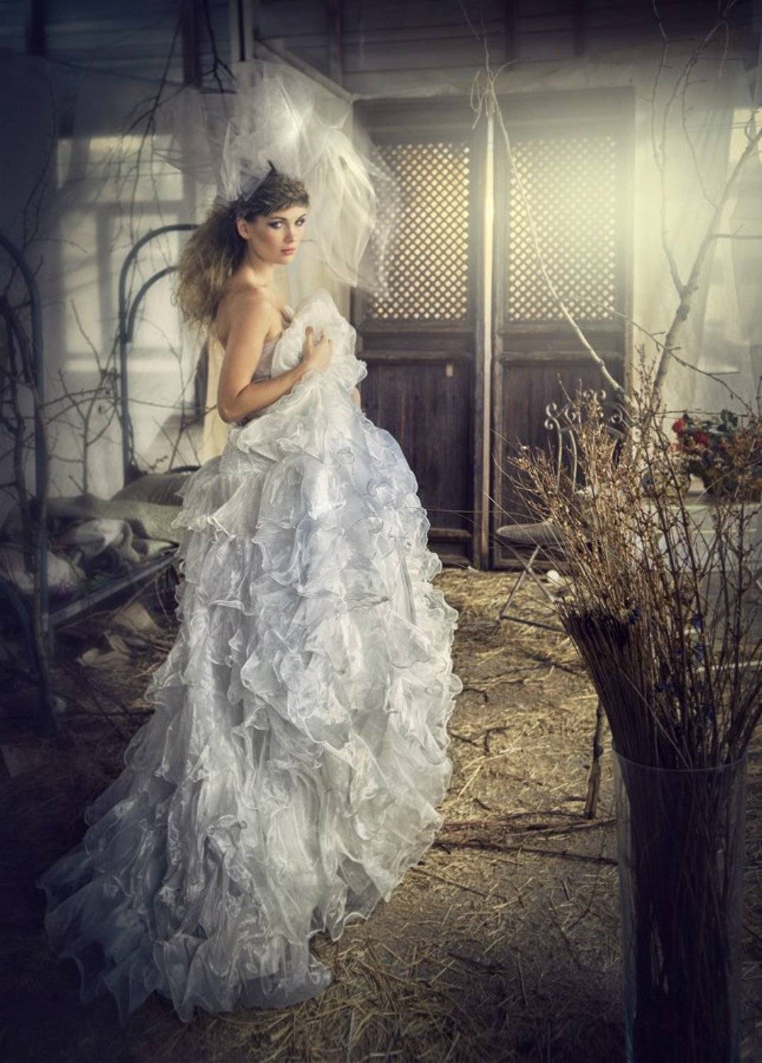 , Владимир Жуков