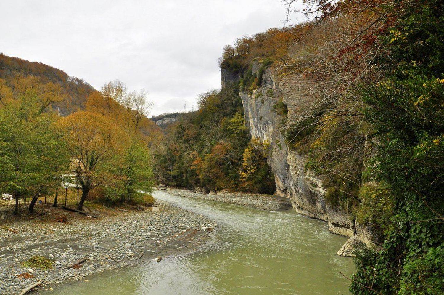 осень, река, лес, сочи, мзымта, Наталья Герасименко