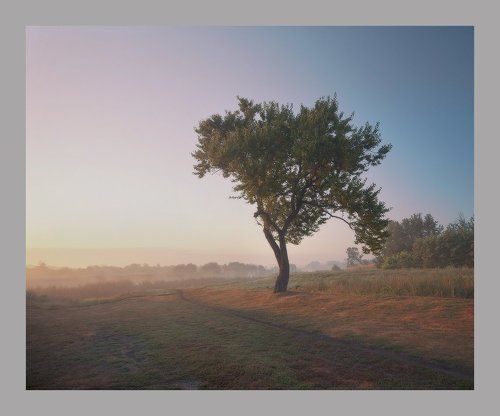 Тропинка к реке