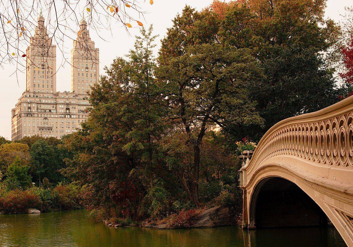 ctntral park, new york, Андрей Ведерников