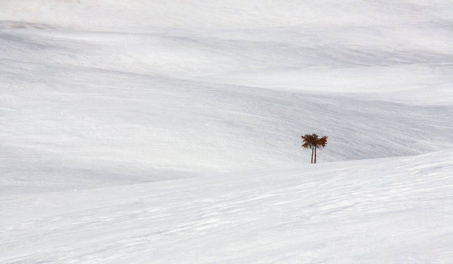 , Андрій Плясун