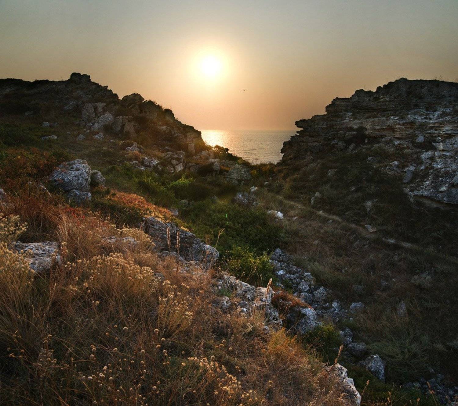 , Роман Белоцерковец