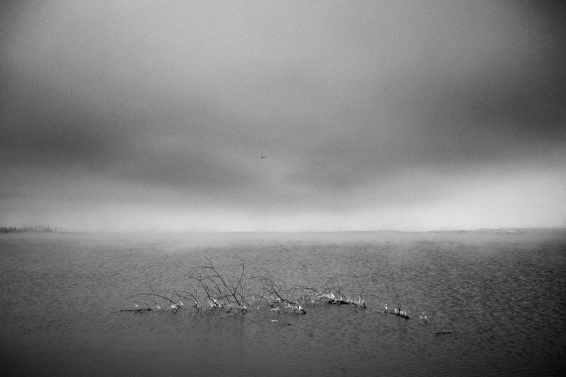 Брошенное сердце фото превью