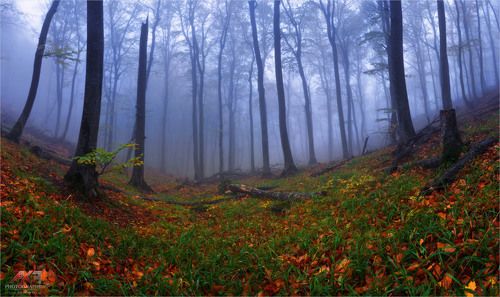 Осень на Кавказе