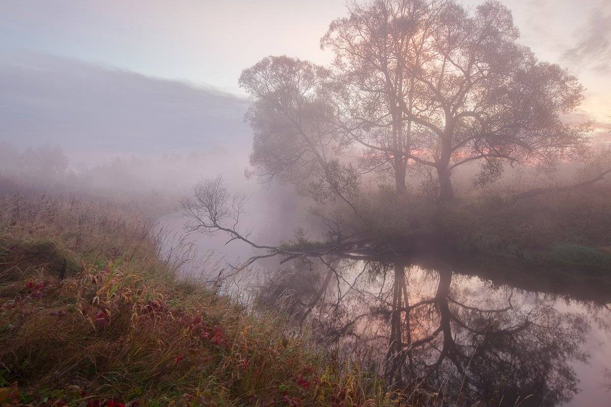 истра, Сергей Ершов