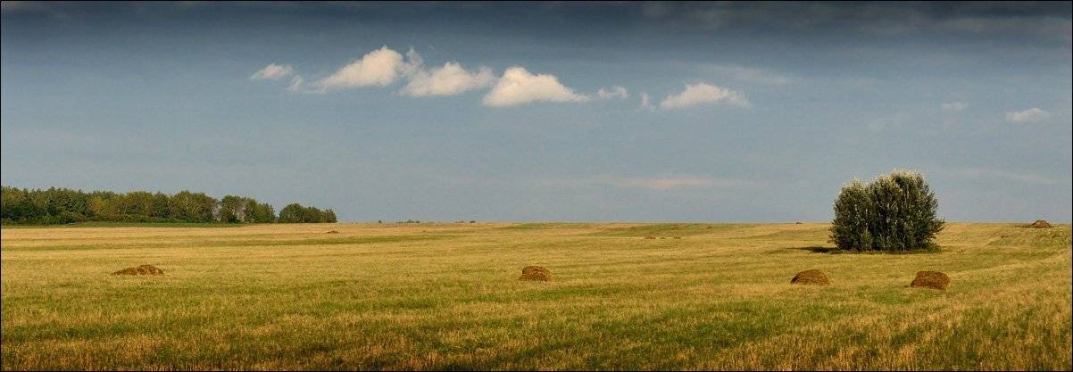 рязанщина, Тарасов Алексей