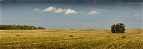 Летние краски