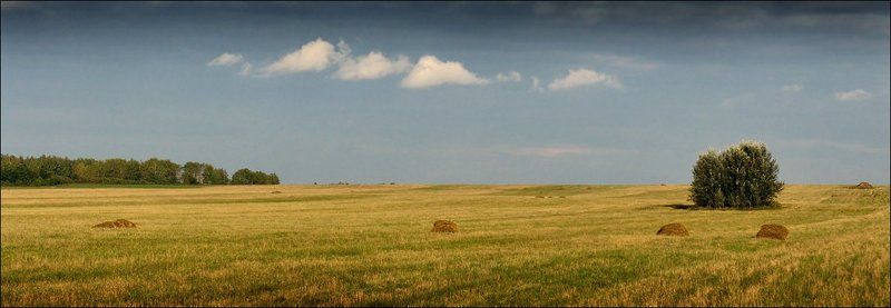 Летние краски фото превью