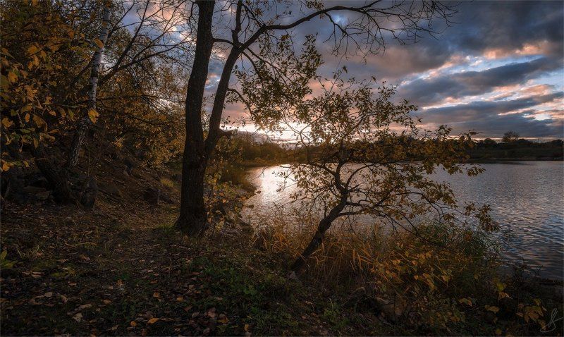 осень, сентябрь, закат, вечер Золото осеннего заката... фото превью