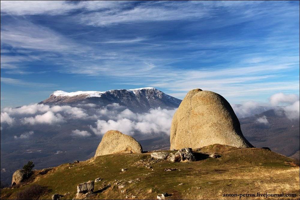 , Антон Петрусь
